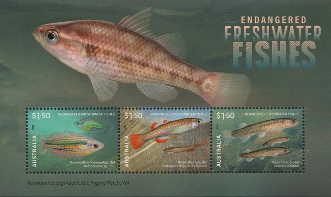 [Endangered Freshwater Fishes, type ]