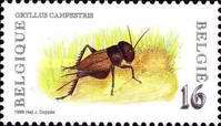 [Insects - The 150th Anniversary of the Institute of Science, type BXW]