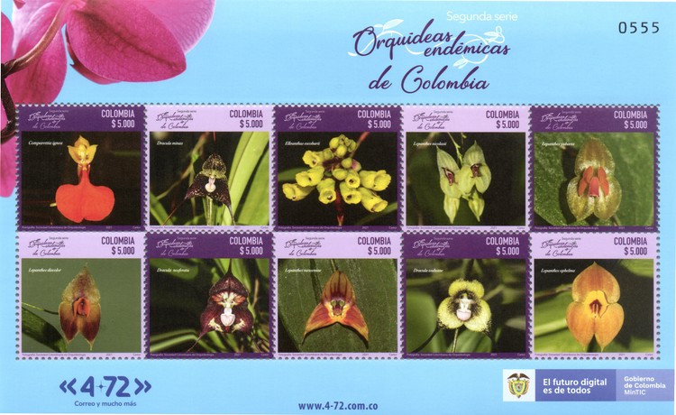 [Flowers - Endemic Orchids of Colombia, type ]