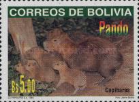 [Bolivian Departments - Pando, type AUS]