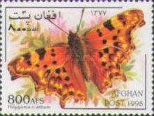 [Fauna - Butterflies, type AQS]