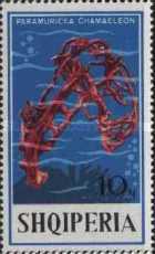 [Corals, type XOD]