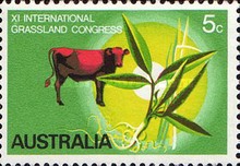 [The International Grassland Congress, type KJ]