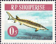 [Fish, type OB]