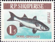 [Fish, type OD]