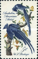 [Birds - John James Audubon Drawing, type ZU]