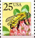 [Insects - Honeybee, type BPZ]