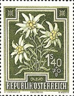 [Flowers - Charity Stamps, type OT]