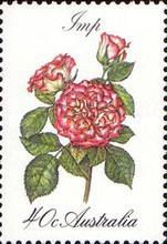 [Roses, type XB]