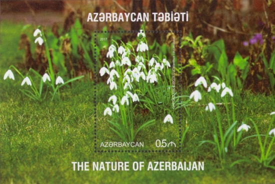 [Flora of Azerbaijan, type ]