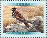[Birds, type BTF]