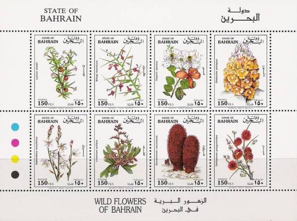 [Wild Flowers, type ]