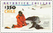 [Antarctica, type BOK]