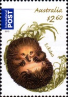[Fauna - Australian Bush Babies, type DVD]