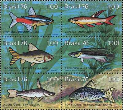 [Brazilian Freshwater Fish, type ]