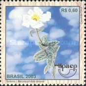 [America UPAEP - Medicinal plants of the Cerrado, type DUI]