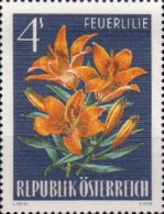 [Alpine Flora, type ACK]