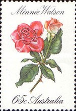[Roses, type XC]