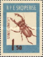 [Insects - Beetles, type LO]