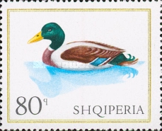 [Birds - Domestic Fowl, type ACJ]