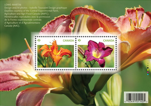 [Flowers - Daylilies, type ]