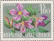 [Vienna International Horticultural Show, type ZW]