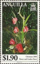 [Christmas - Flower and Garden Show, type APR]