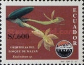 [Orchids of Mazan Forest, type CJC]