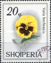 [Violets, type AGN]