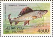 [Fish, type GK]