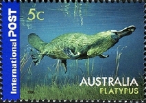 [Australian Native Wildlife, type CLY]