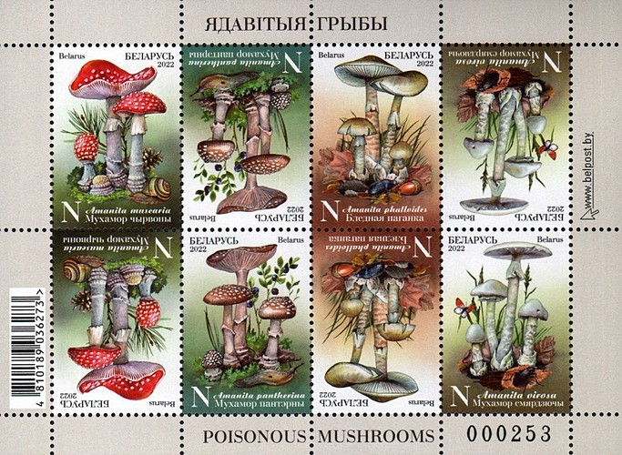 [Poisonous Mushrooms of Belarus, type ]
