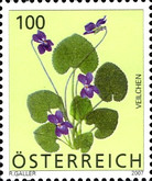 [Flowers, type CLN]