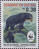 [The Spectacled Bear, type AIL]