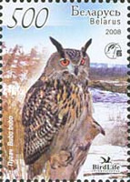 [Owls of Belarus, type ZS]