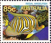 [Marine Life, type ABU]
