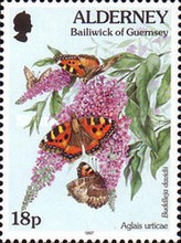 [Fauna and Flora - New Values, type CV]