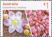 [Australian Succulents, type EKK]