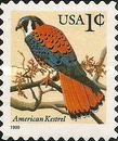 [Birds - American Kestrel - Self-Adhesive, type DIF]