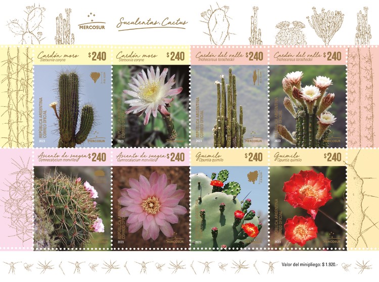 [MERCOSUR Issuwe - Cacti, type ]