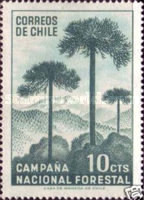 [National Afforestation Campaign, type PJ]