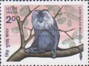 [Indian Wildlife. Monkeys, type ADE]