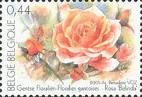 [Ghent Flower Show - Roses, type CYT]
