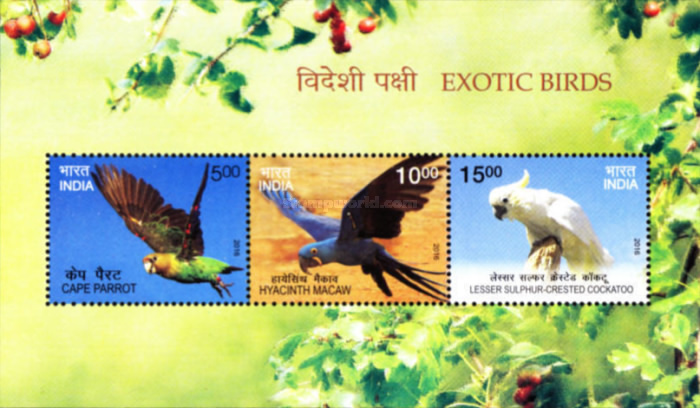 [Exotic Brids, type ]