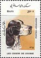 [Dogs, type AER]