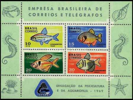 [ACAPI Fish Conservation and Development Campaign, type ]