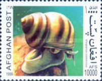 [Fauna - Snails, type ASU]