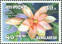 [Flowers, type BS]