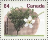 [Fruit and Nut Trees, type ASN]