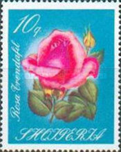 [Roses, type ZX]